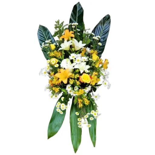 Palma funebre americana clasica